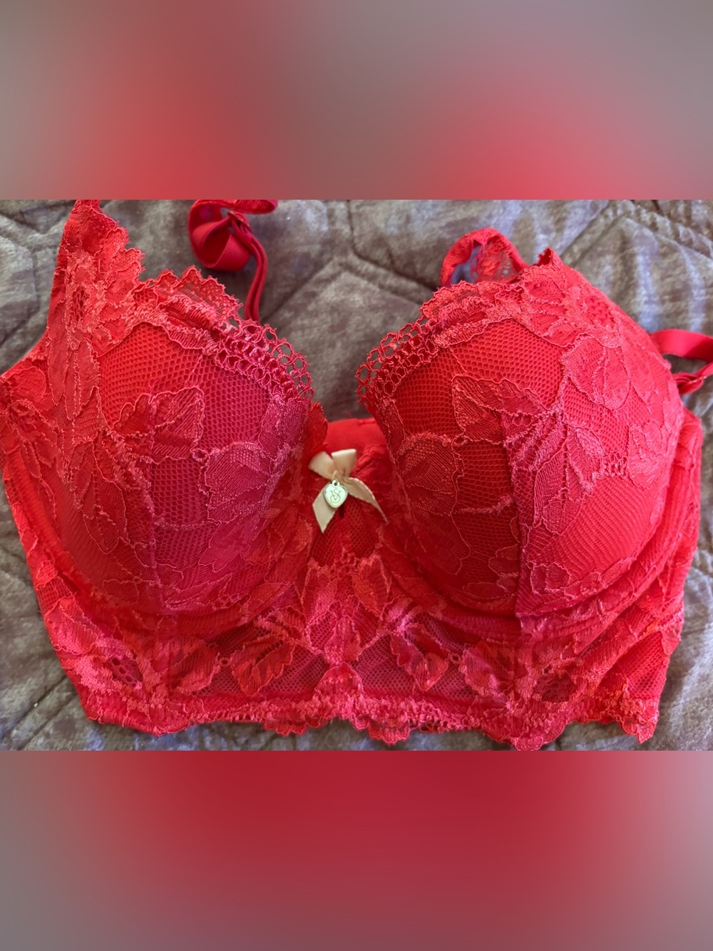 Victoria's Secret Red Lace Longline Push-Up Bra